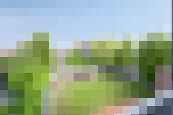 Binnenkamer 44 Tholen thumbnail 31