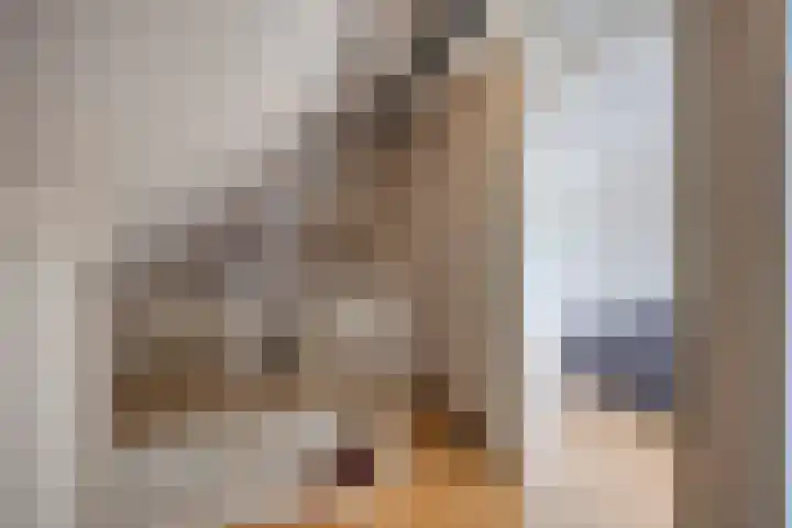 Binnenkamer 44 Tholen thumbnail 34