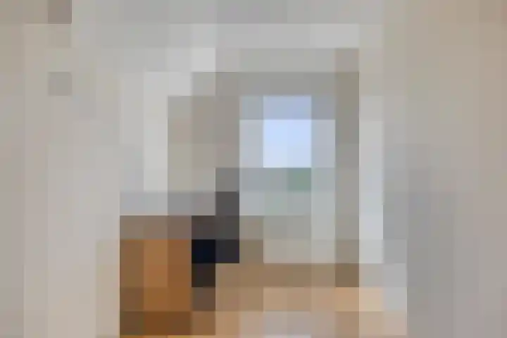 Binnenkamer 44 Tholen thumbnail 39