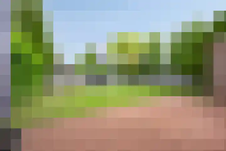 Binnenkamer 44 Tholen thumbnail 4