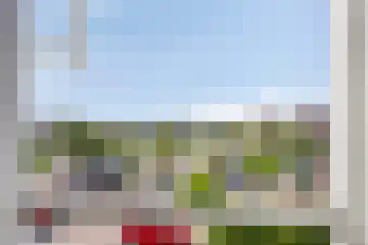 Binnenkamer 44 Tholen thumbnail 40