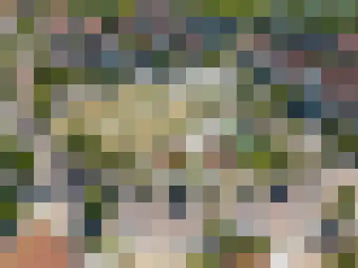 Binnenkamer 44 Tholen thumbnail 47