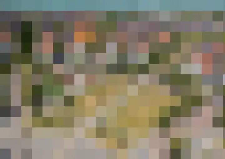 Binnenkamer 44 Tholen thumbnail 48