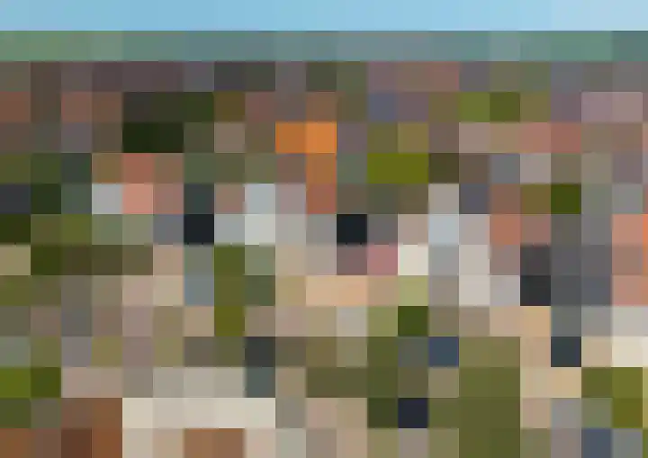 Binnenkamer 44 Tholen thumbnail 49
