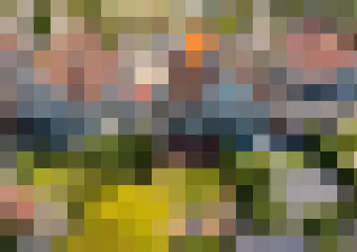 Binnenkamer 44 Tholen thumbnail 50