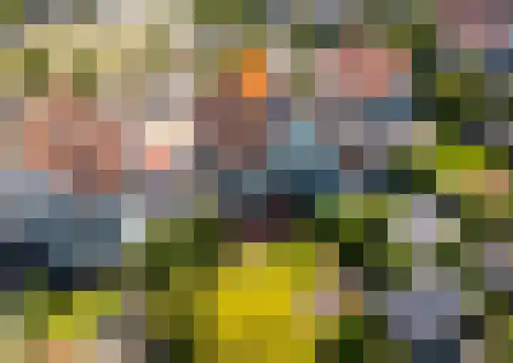 Binnenkamer 44 Tholen thumbnail 51