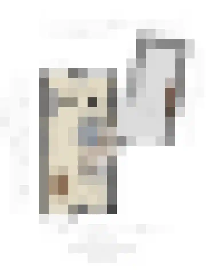Binnenkamer 44 Tholen thumbnail 54