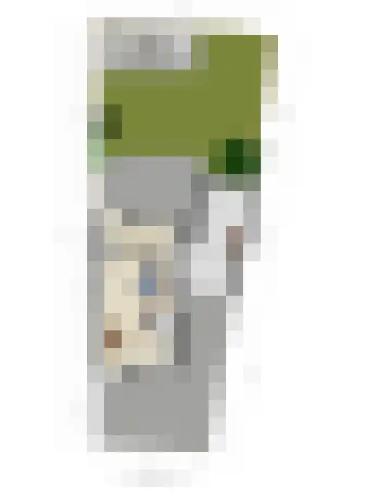 Binnenkamer 44 Tholen thumbnail 55