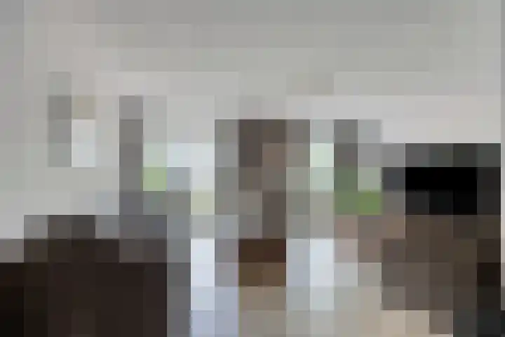 Binnenkamer 44 Tholen thumbnail 6