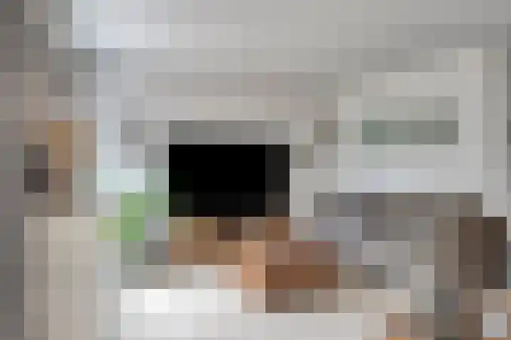 Binnenkamer 44 Tholen thumbnail 7