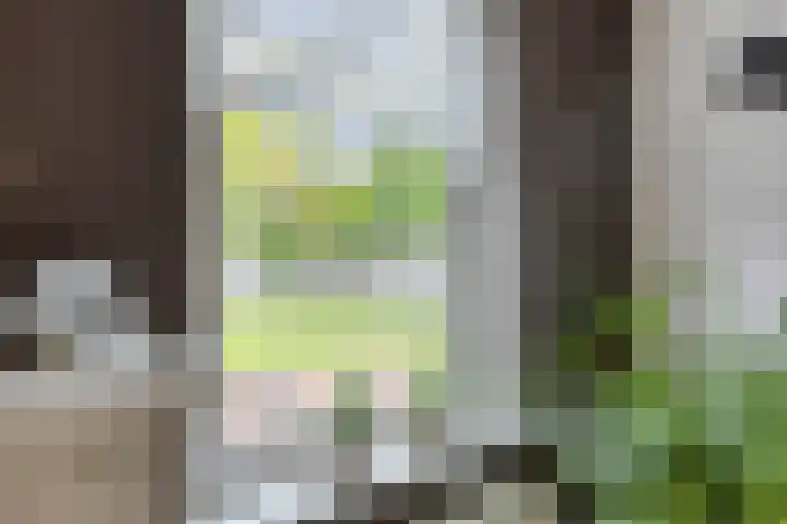 Binnenkamer 44 Tholen thumbnail 8