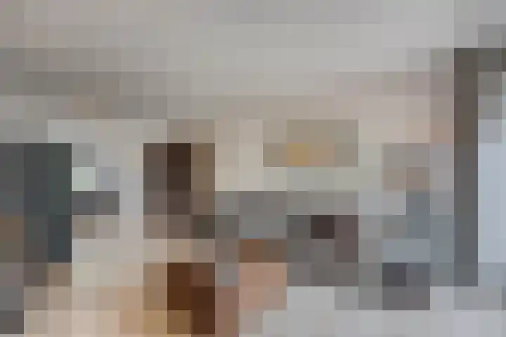 Binnenkamer 44 Tholen thumbnail 9