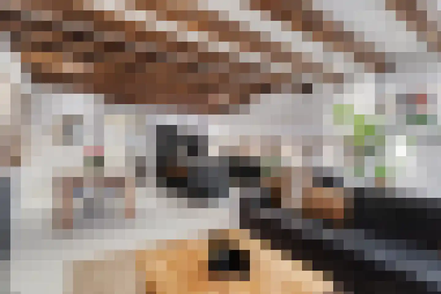 Binnenkant 20 B Amsterdam thumbnail 10