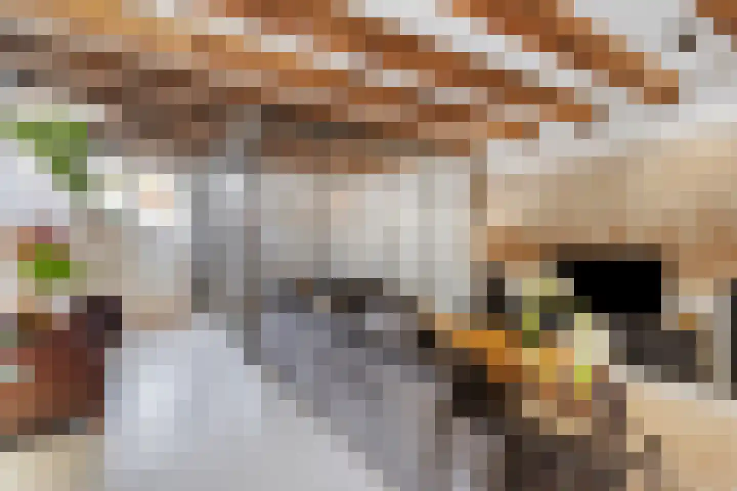 Binnenkant 20 B Amsterdam thumbnail 14