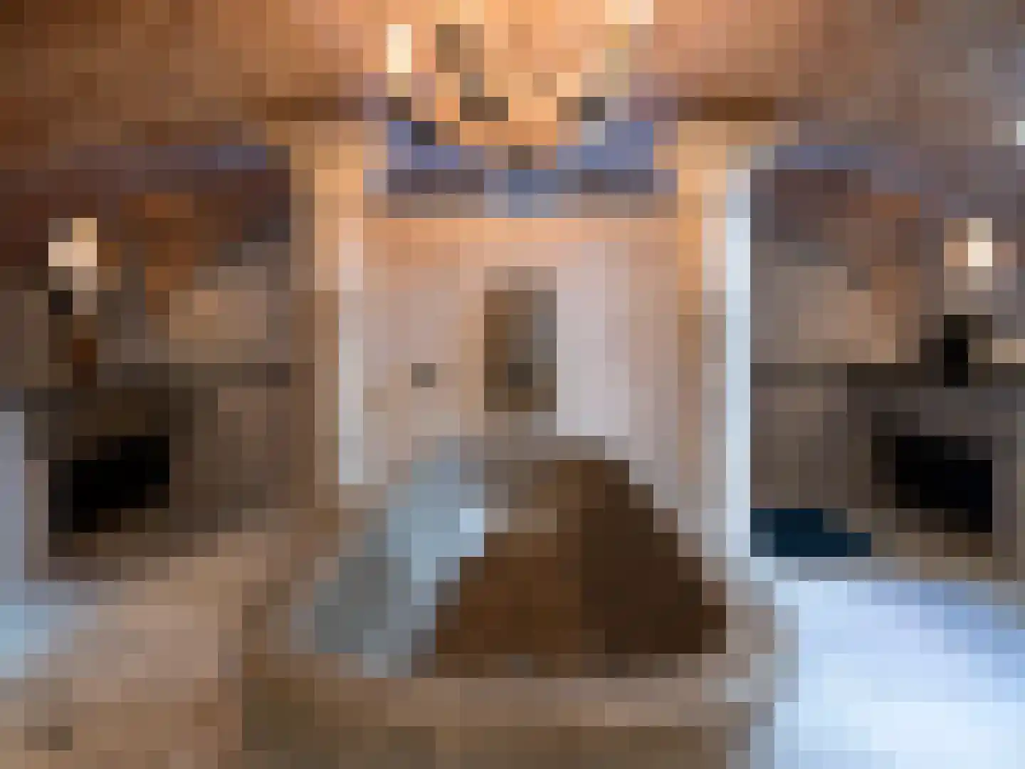 Binnenkant 26 3 Amsterdam thumbnail 17