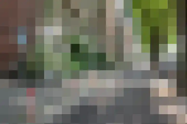 Binnenkant 34 2 Amsterdam thumbnail 44