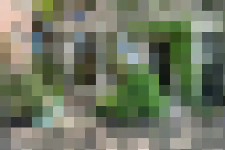 Binnenkant 34 2 Amsterdam thumbnail 5