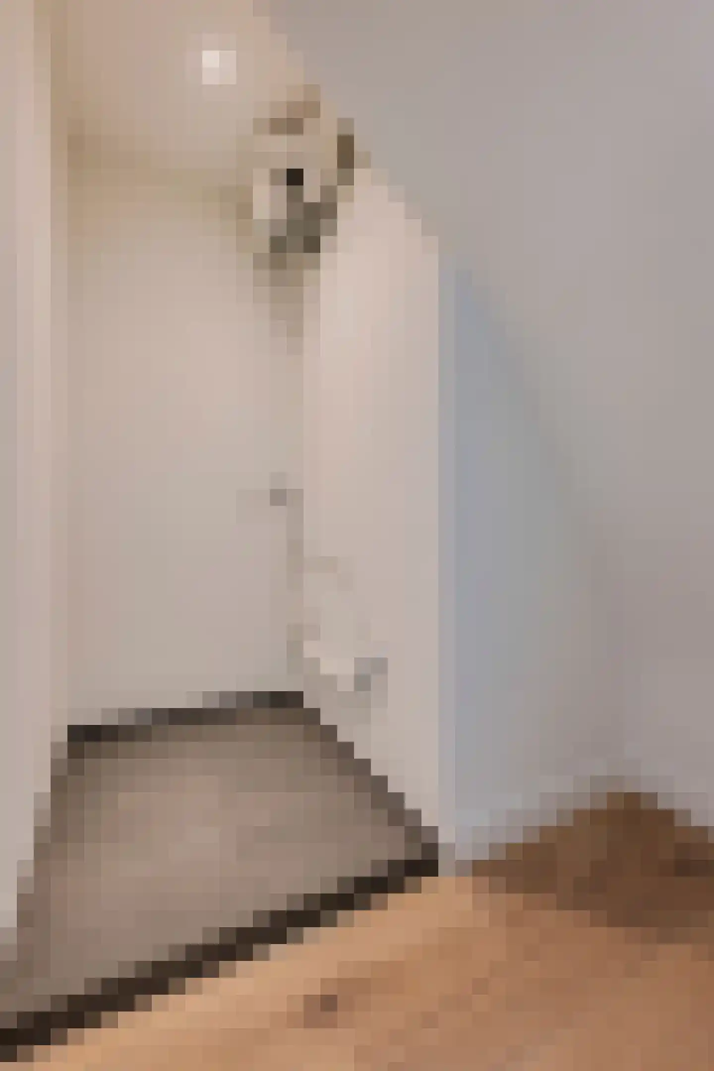 Binnenkant 35 3 Amsterdam thumbnail 26