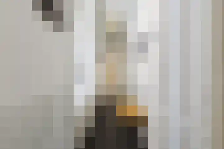 Binnenkant 38 B Amsterdam thumbnail 16