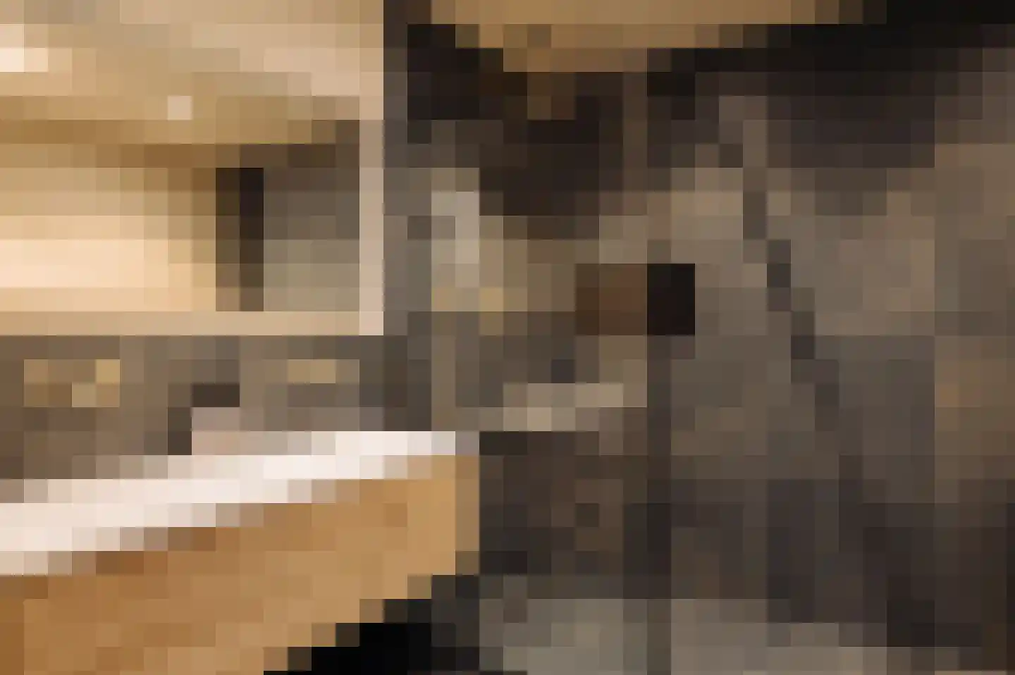 Binnenkant 46 A Amsterdam thumbnail 29