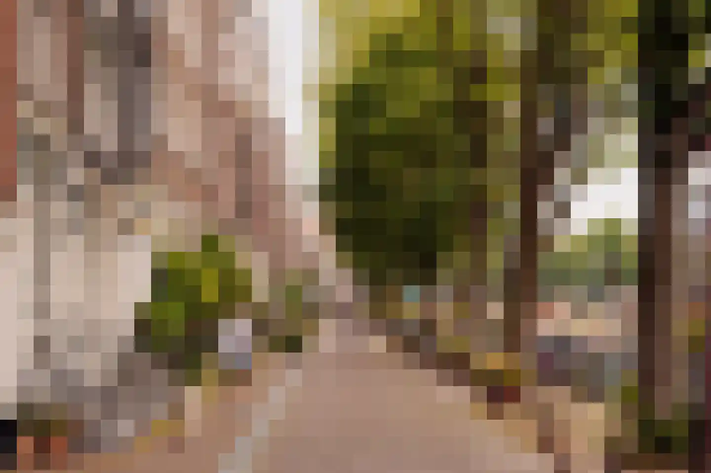 Binnenkant 46 A Amsterdam thumbnail 31