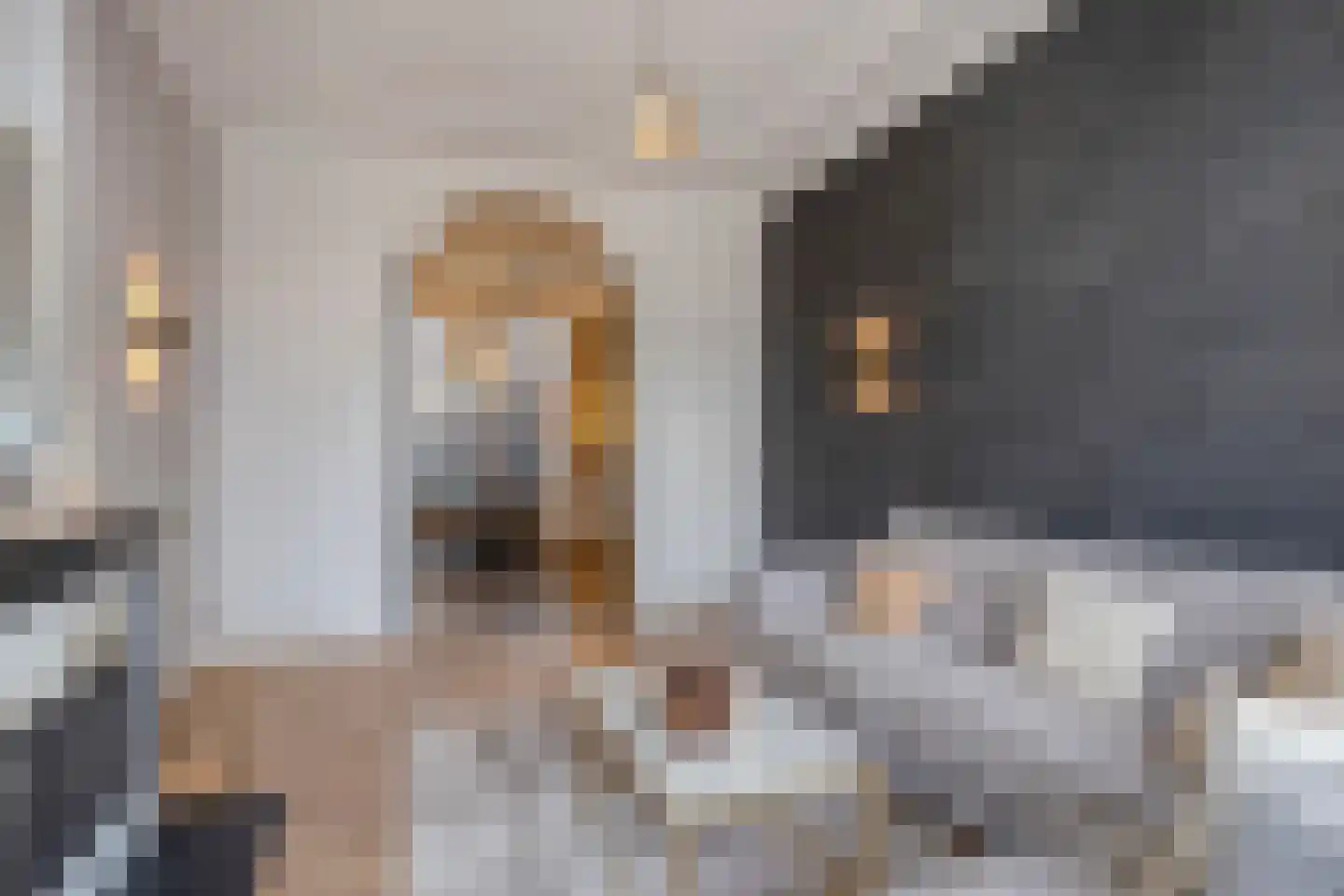 Binnenkant 46 B Amsterdam thumbnail 12