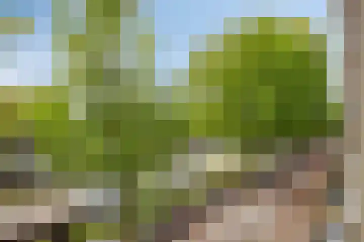 Binnenkant 46 C Amsterdam thumbnail 10