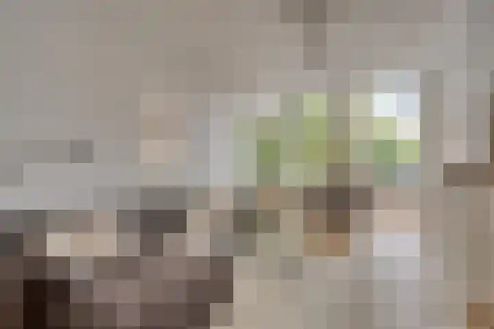 Binnenkant 46 C Amsterdam thumbnail 5