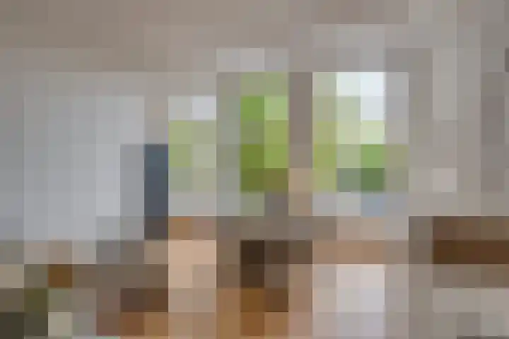 Binnenkant 46 C Amsterdam thumbnail 6
