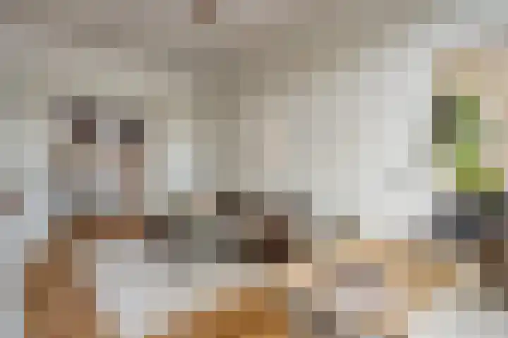 Binnenkant 46 C Amsterdam thumbnail 7