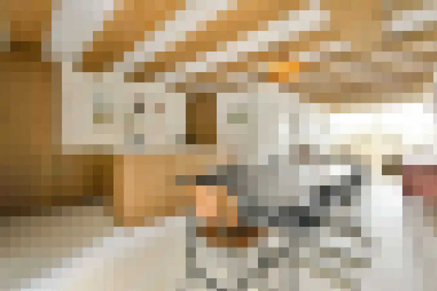 Binnenkant 49 A Amsterdam thumbnail 10
