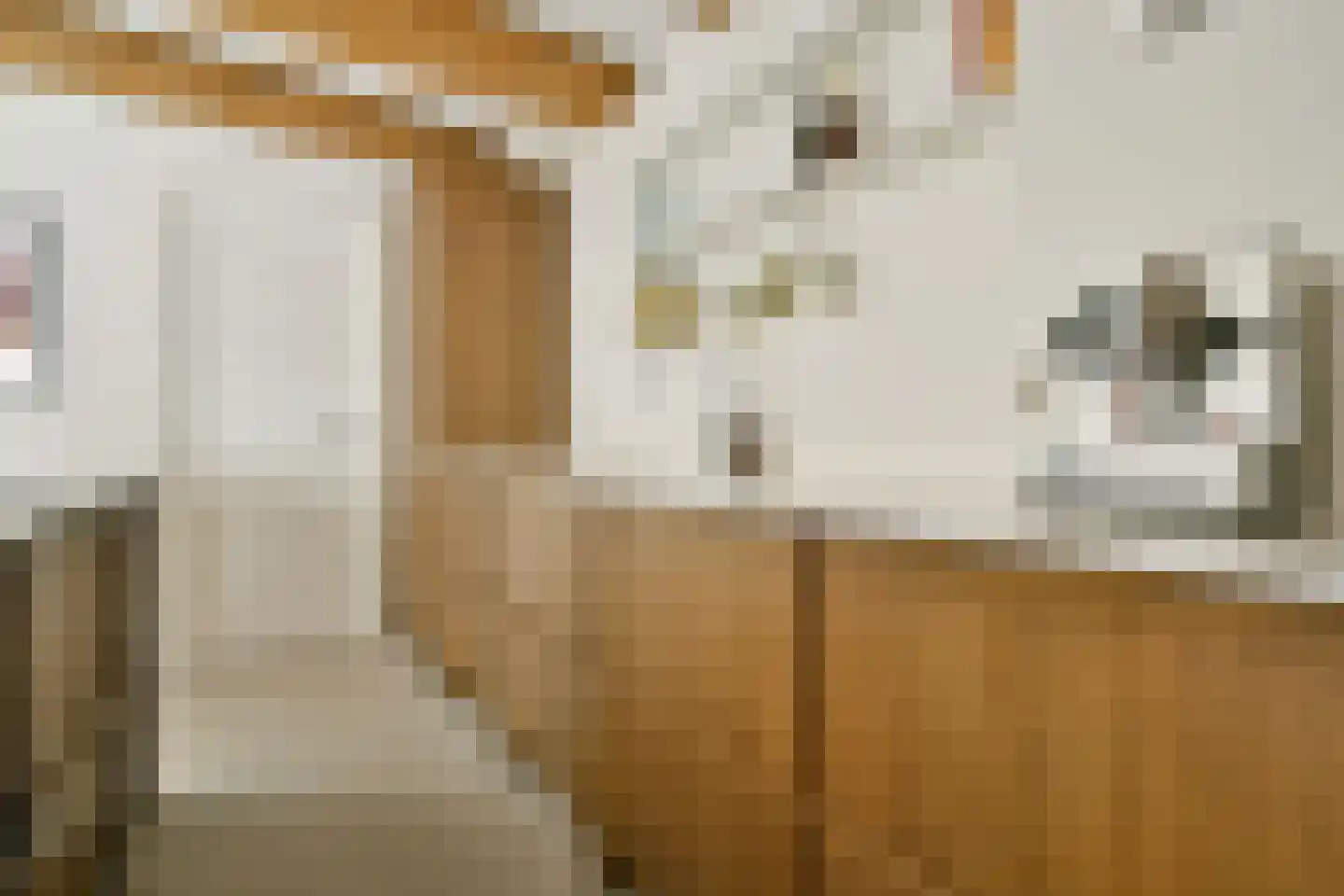 Binnenkant 49 A Amsterdam thumbnail 15