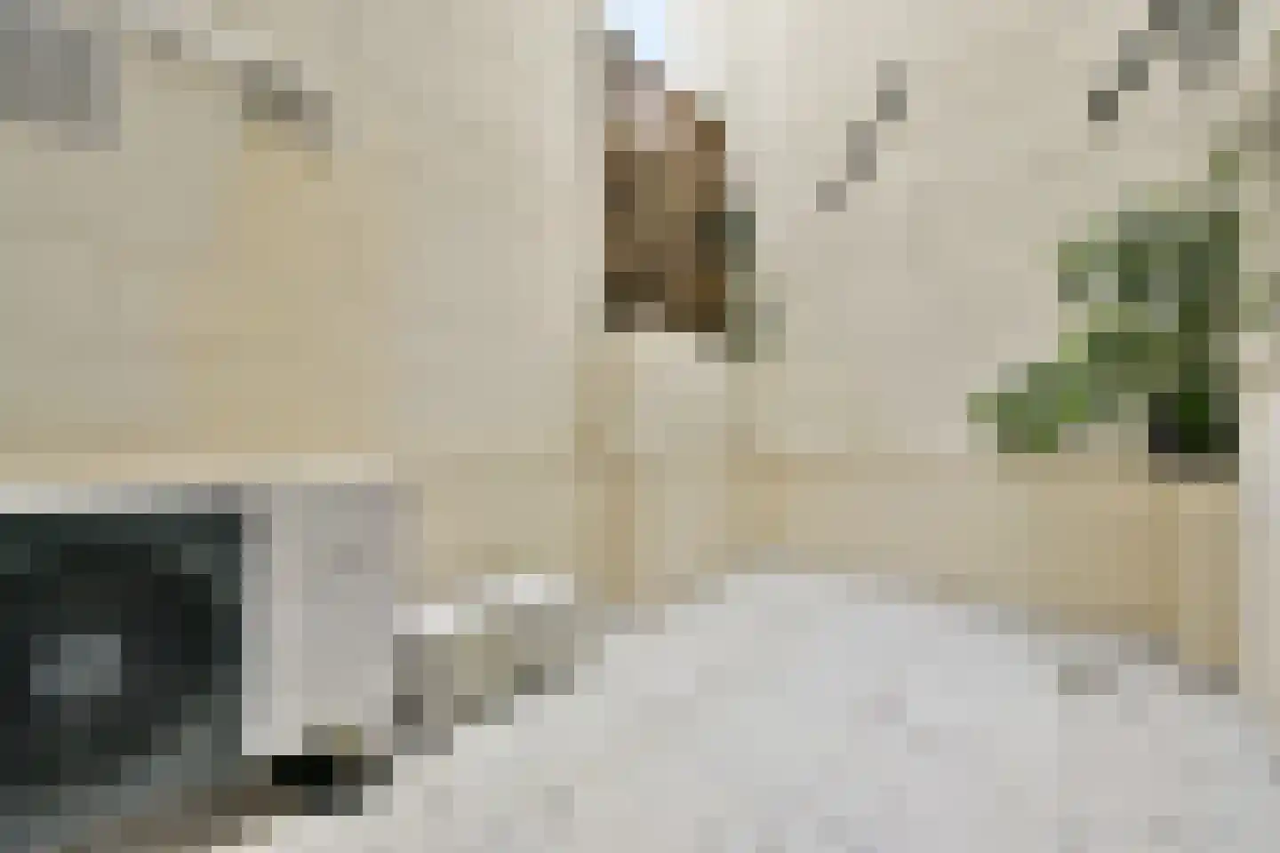 Binnenkant 49 A Amsterdam thumbnail 16