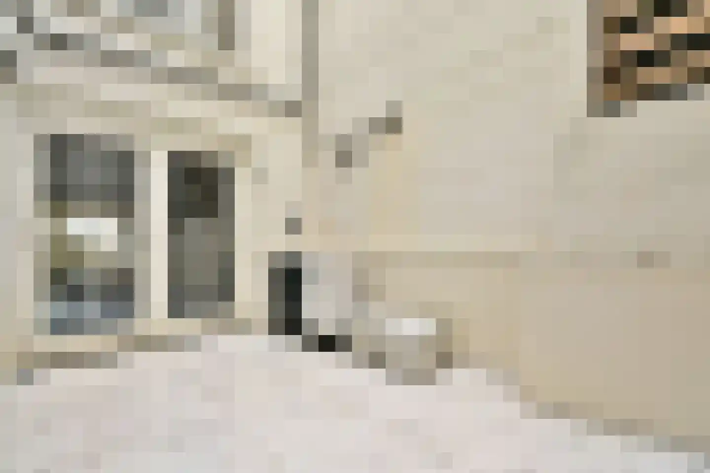 Binnenkant 49 A Amsterdam thumbnail 18