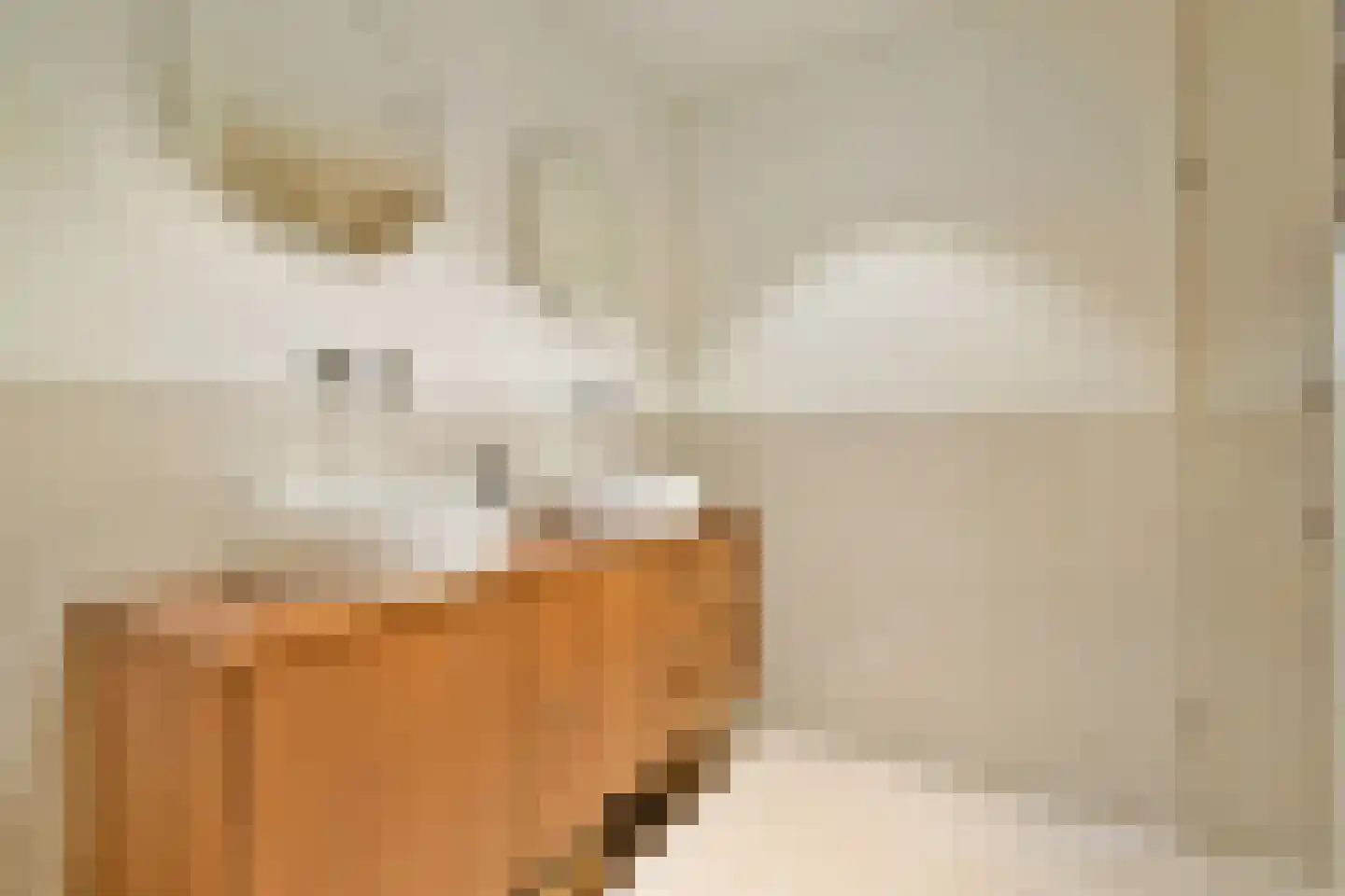 Binnenkant 49 A Amsterdam thumbnail 21
