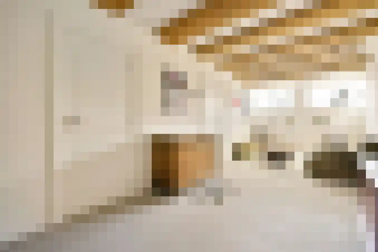 Binnenkant 49 A Amsterdam thumbnail 6