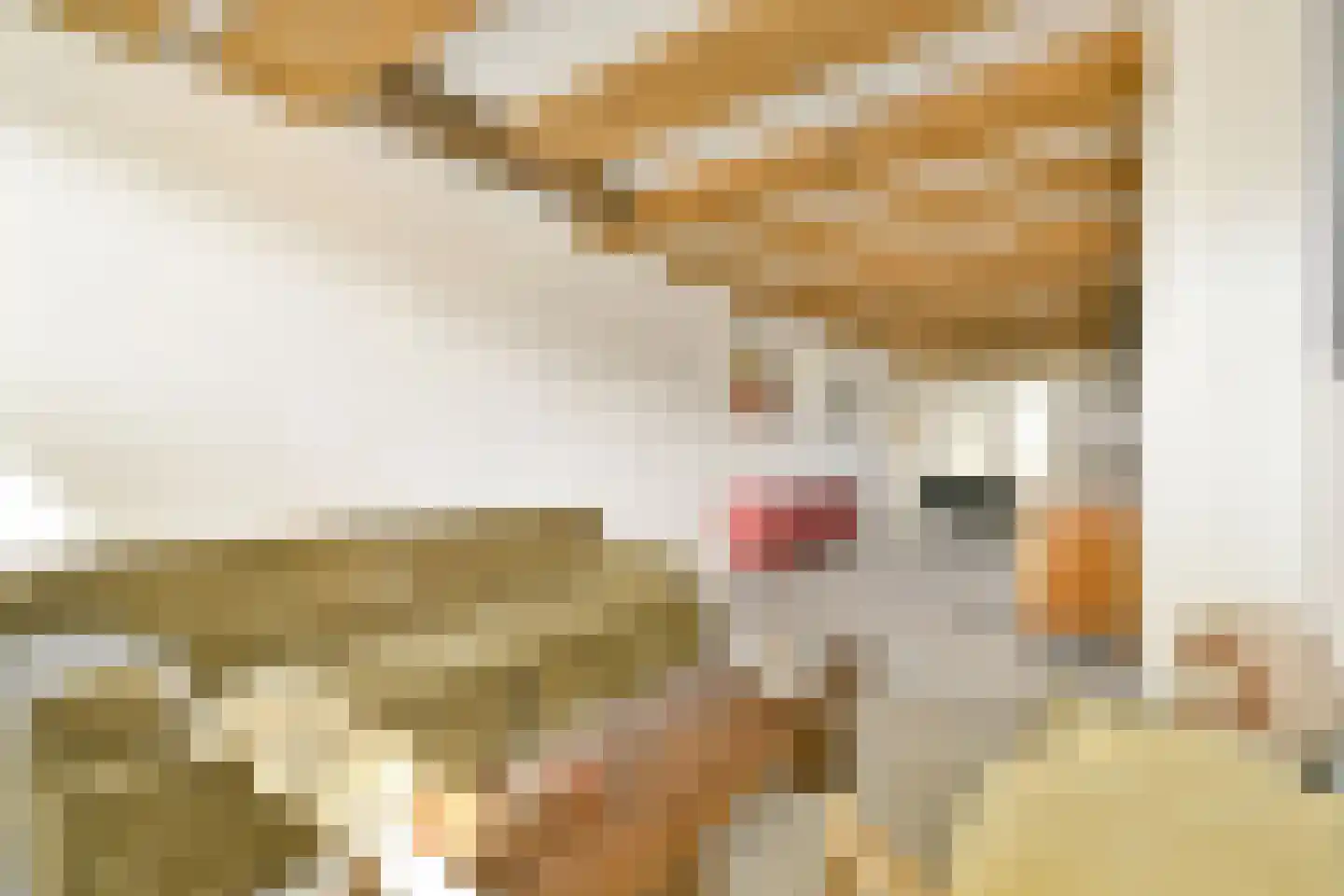 Binnenkant 49 A Amsterdam thumbnail 8
