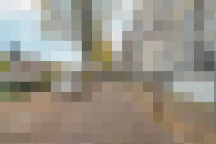 Binnenkant 49 C Amsterdam thumbnail 22