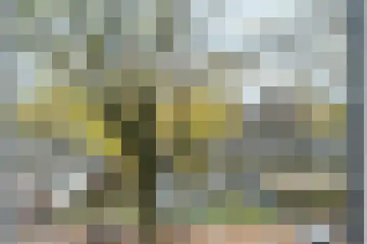 Binnenkant 49 C Amsterdam thumbnail 6