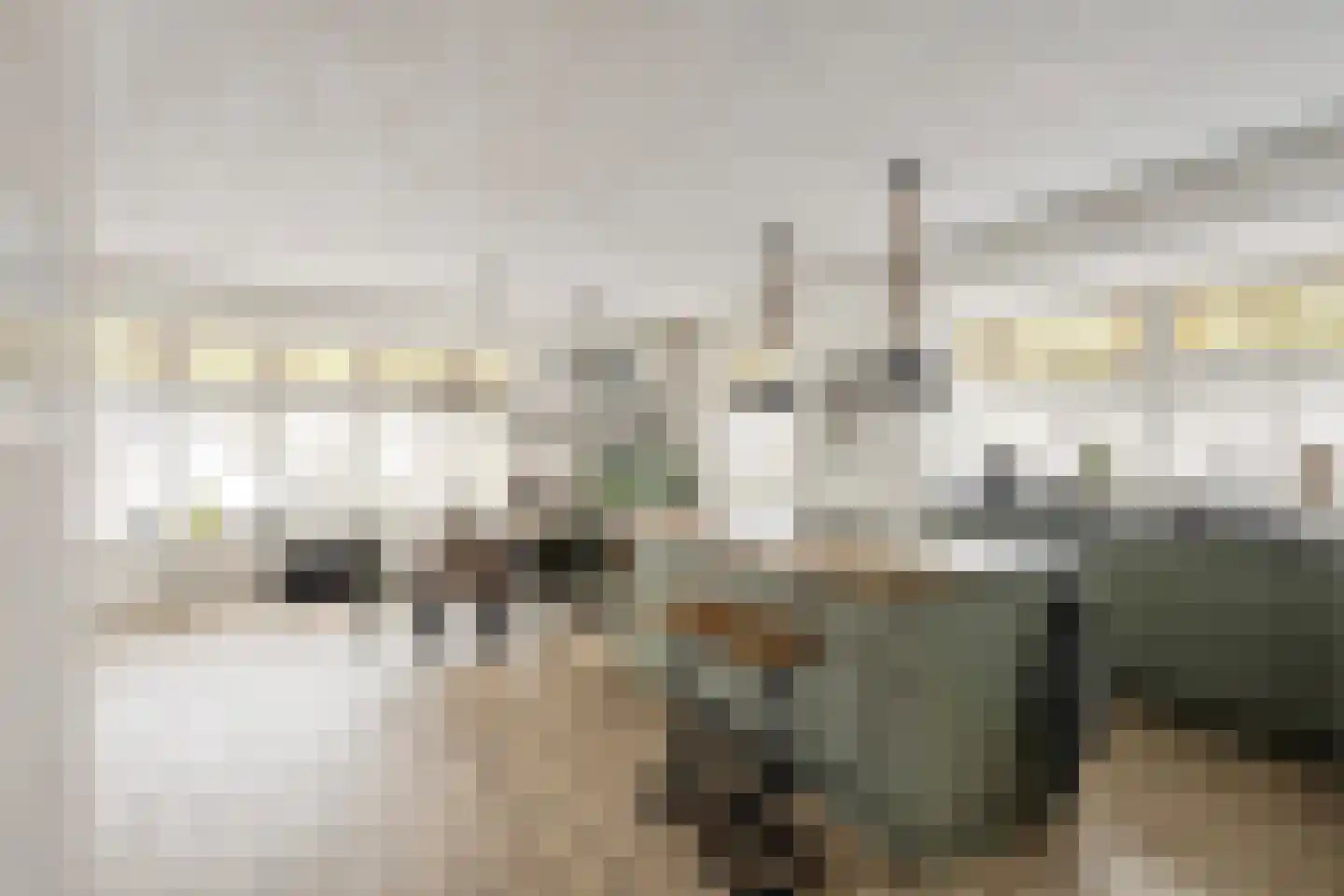 Binnenkruier 1 Espel thumbnail 23