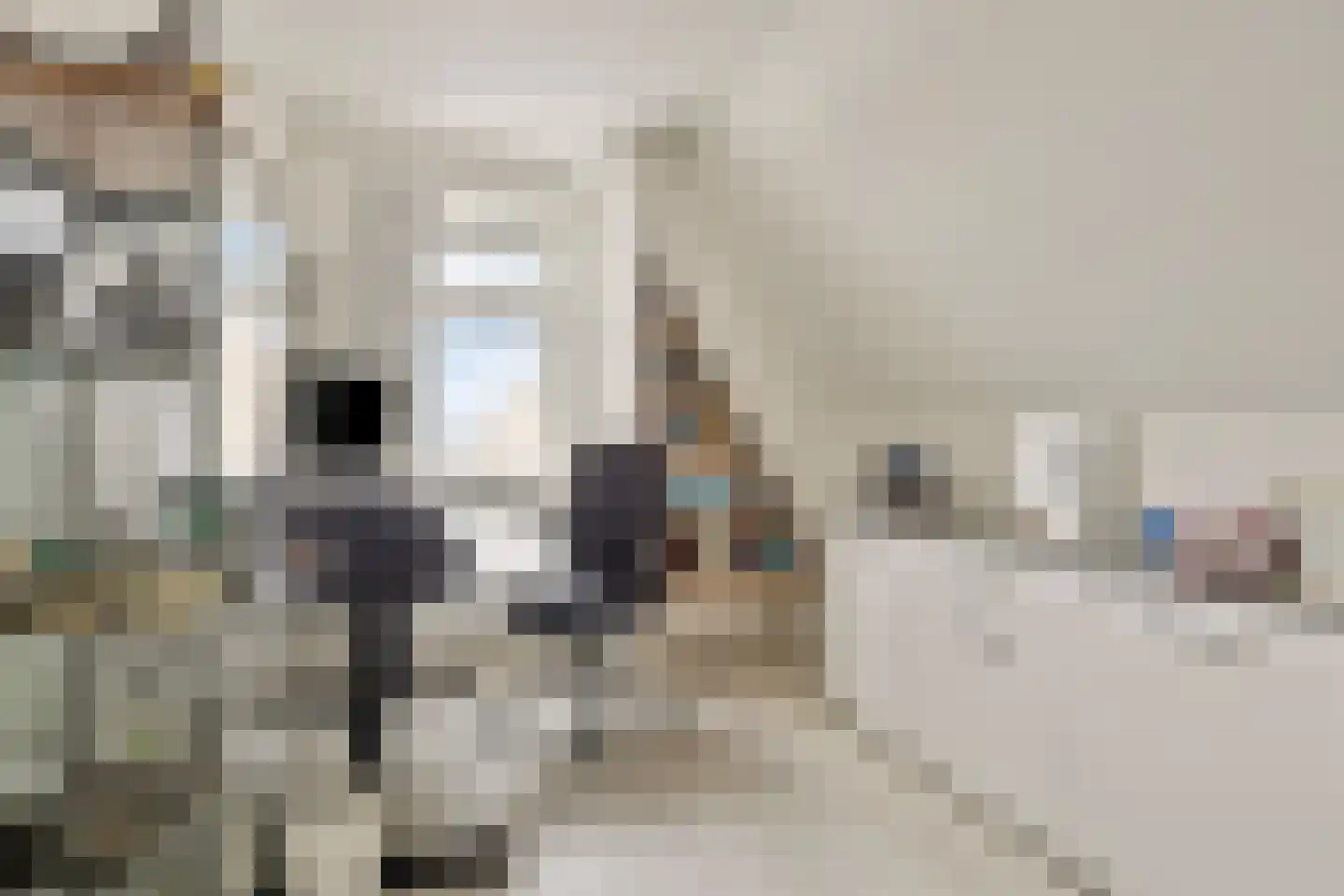 Binnenkruier 1 Espel thumbnail 34