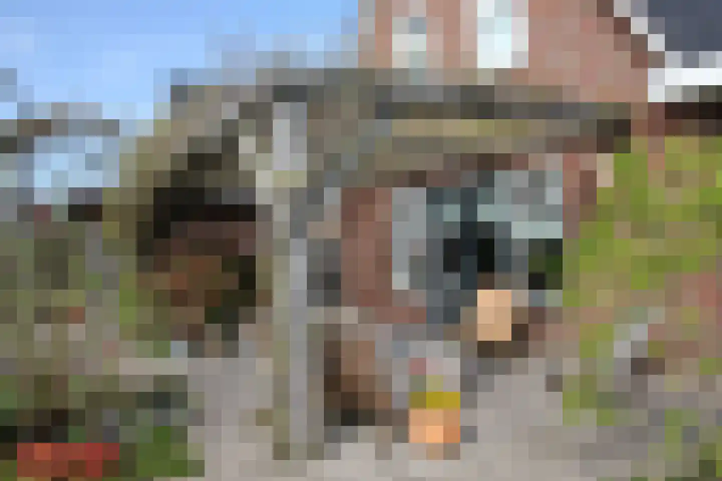 Binnenkruier 1 Espel thumbnail 37