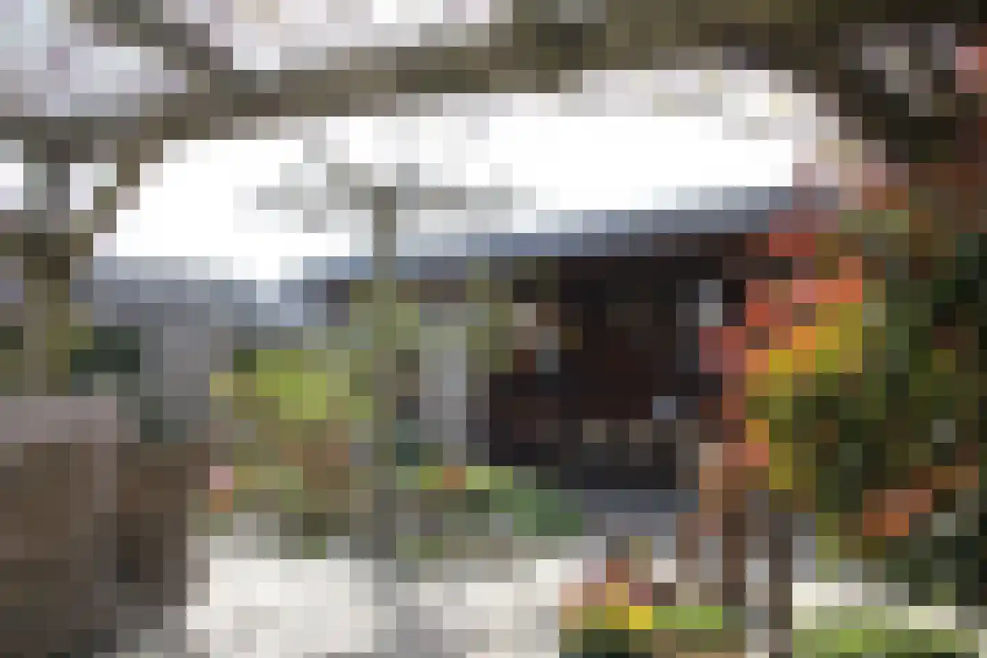 Binnenkruier 1 Espel thumbnail 39