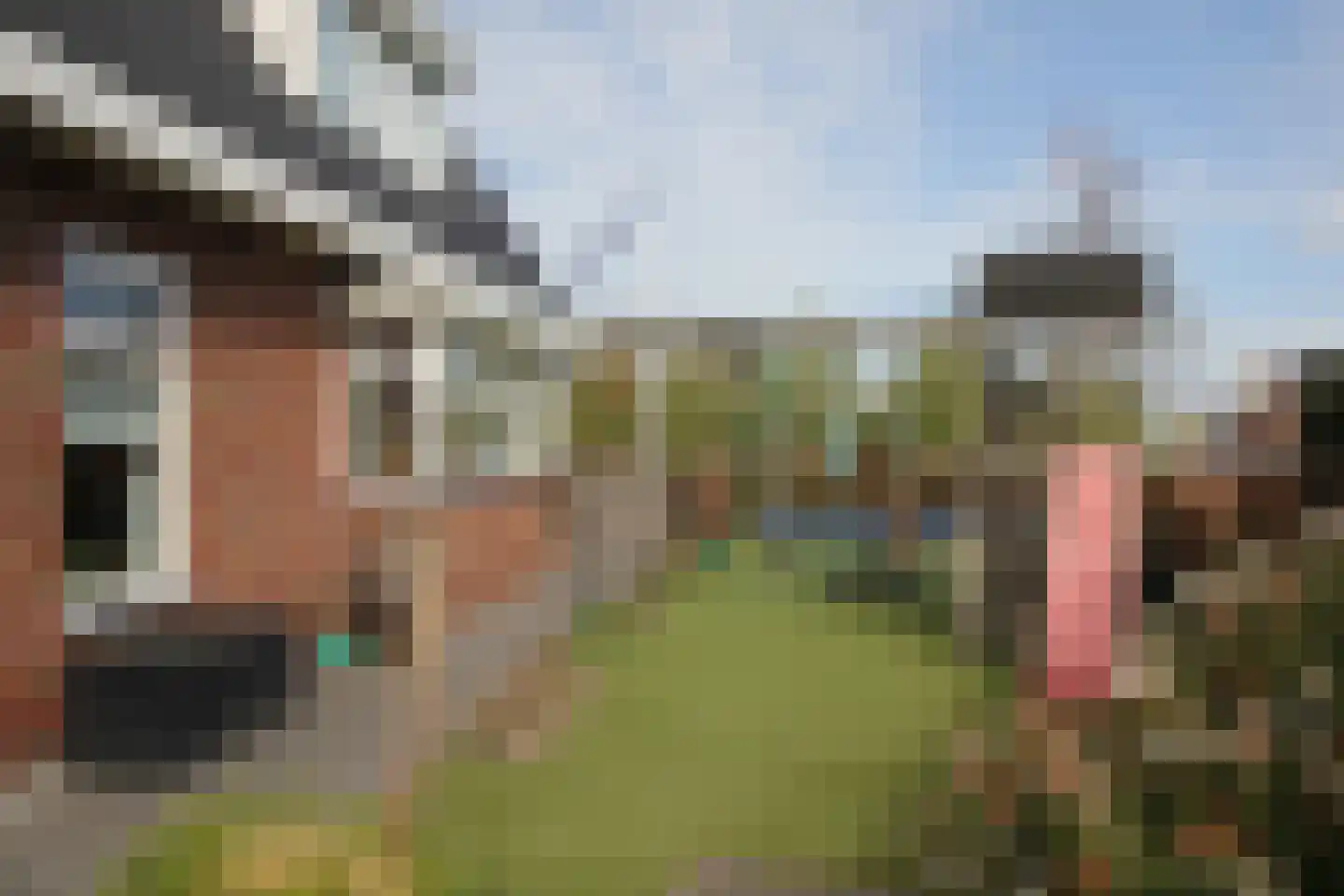 Binnenkruier 1 Espel thumbnail 42
