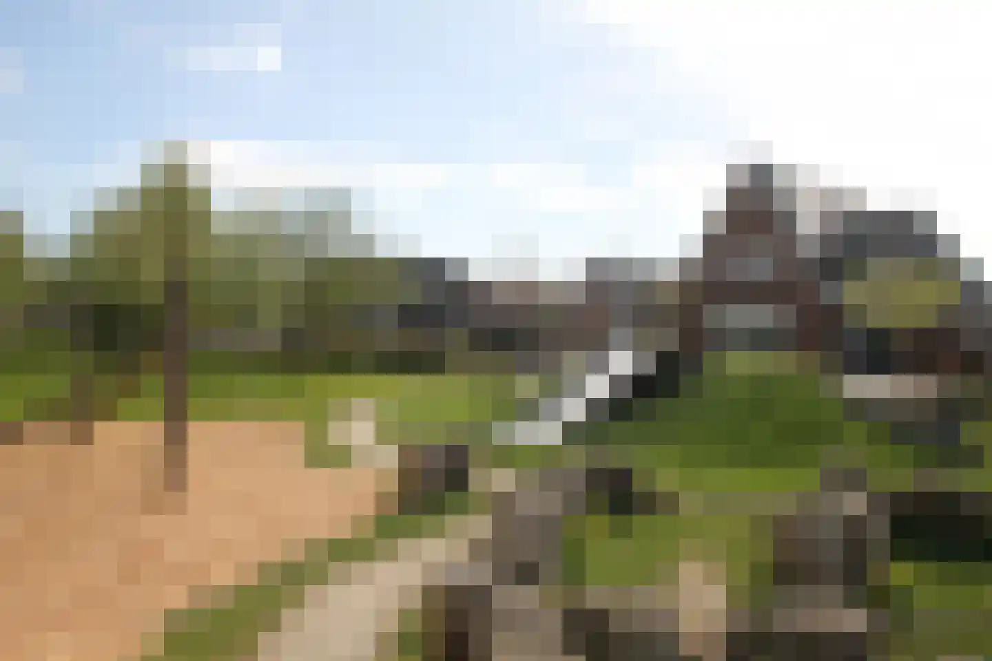 Binnenkruier 1 Espel thumbnail 46
