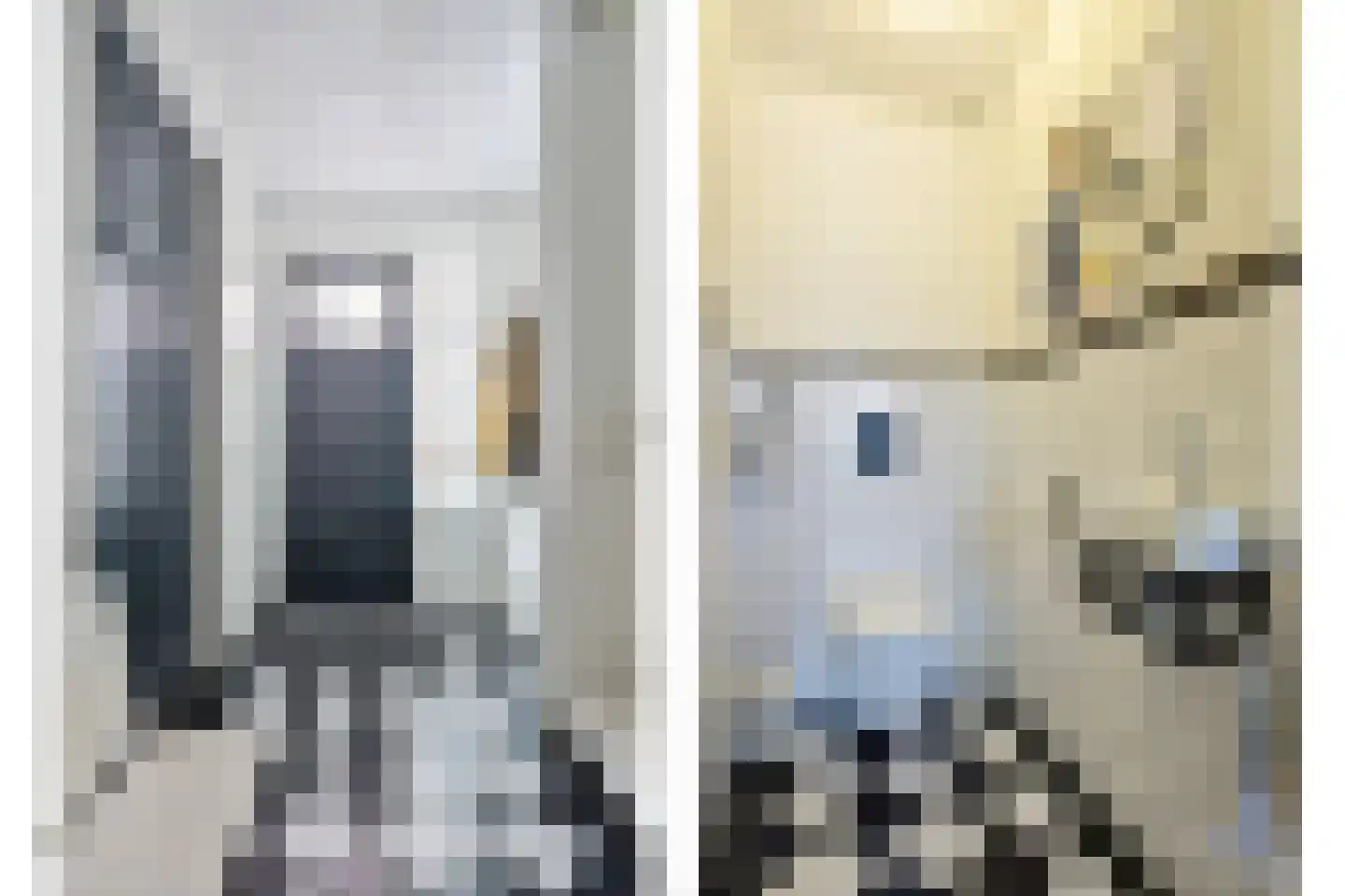 Binnenkruier 1 Espel thumbnail 47
