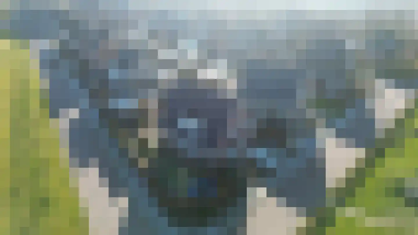 Binnenkruier 1 Espel thumbnail 49