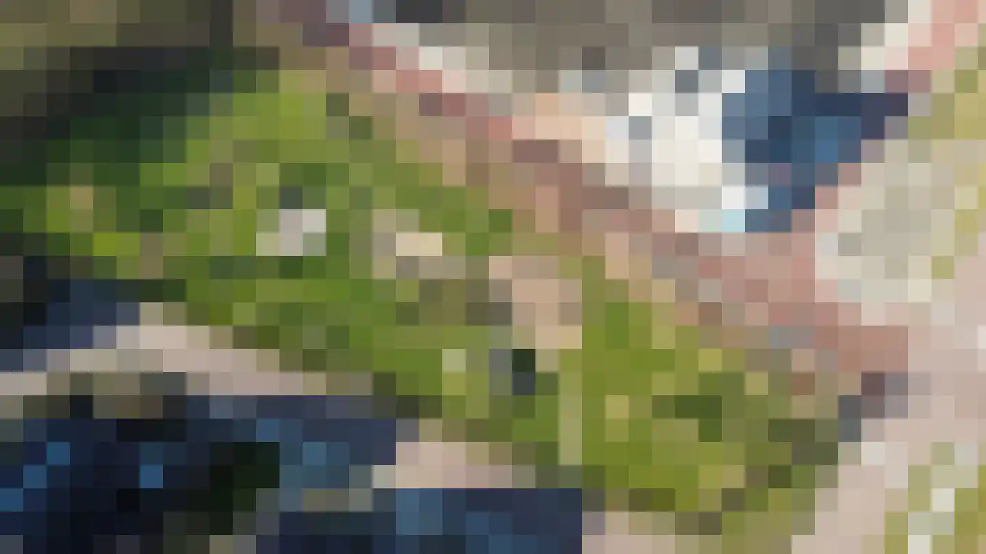 Binnenkruier 1 Espel thumbnail 52