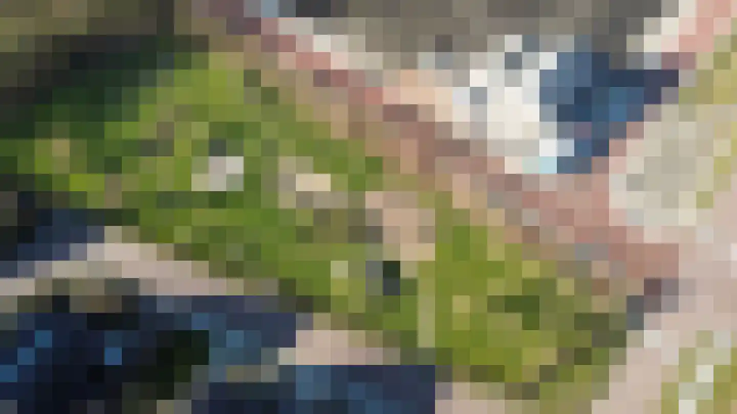 Binnenkruier 1 Espel thumbnail 52