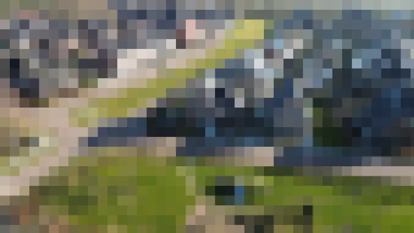 Binnenkruier 1 Espel thumbnail 54